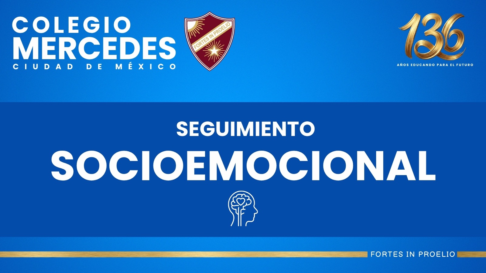 Seguimiento socioemocional – Colegio Mercedes