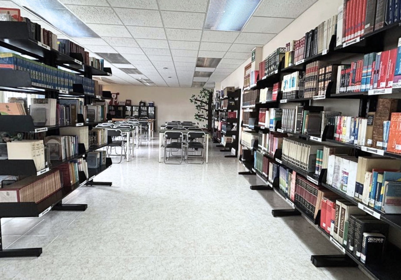 Biblioteca del Colegio Mercedes